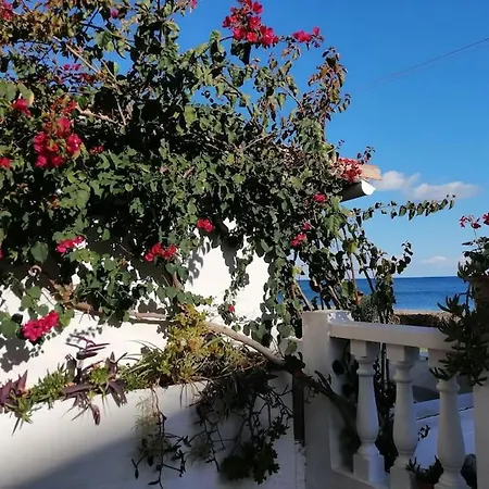 House Holiday home *